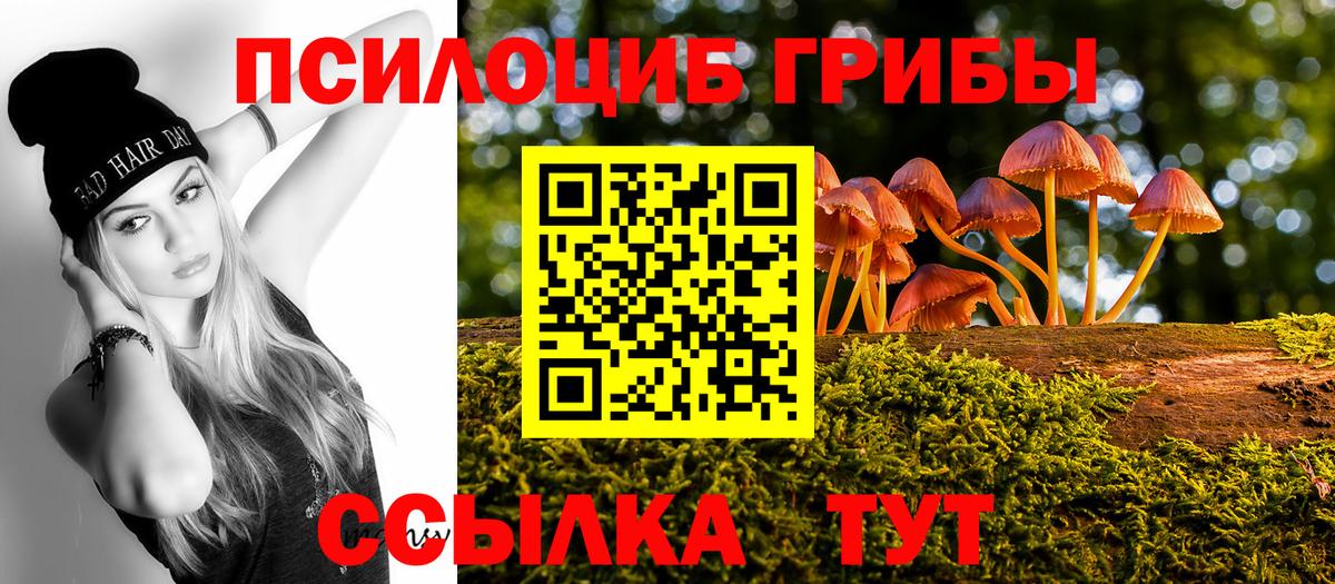 Гурьевск  Псилоцибиновые грибы Magic Shrooms  Вход с VPN  Псилоцибиновые грибы Magic Shrooms 
