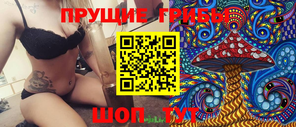 Псилоцибиновые грибы прущие грибы Гурьевск